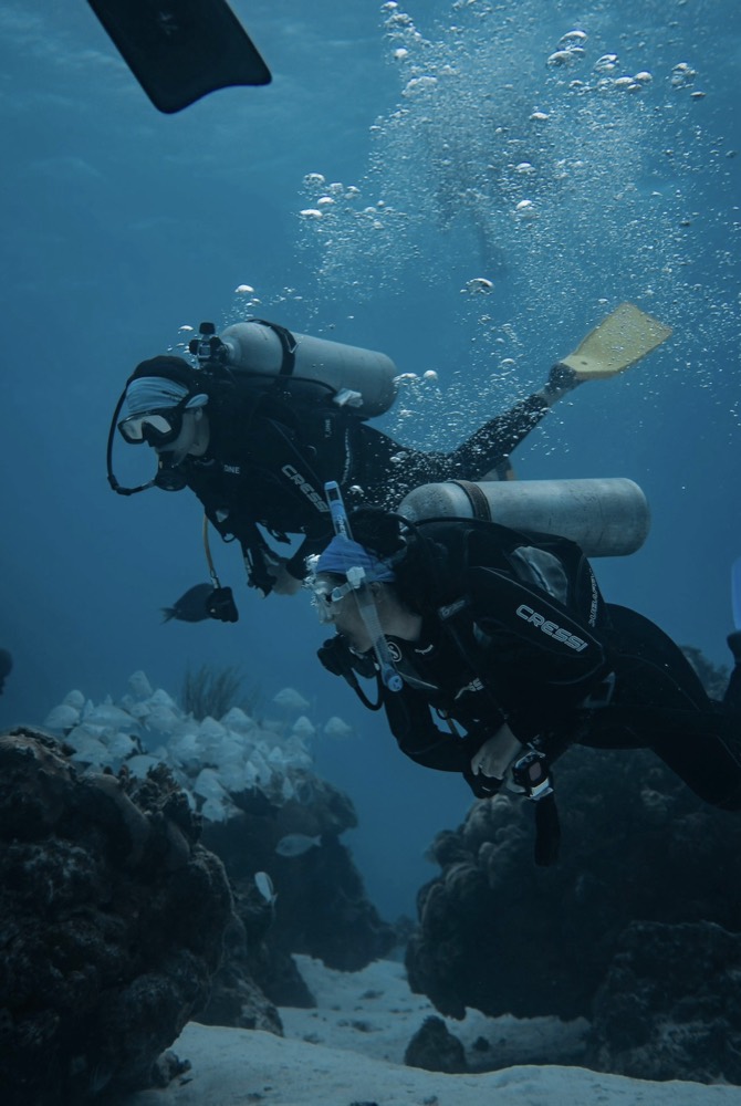Buceo